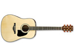Ibanez AW3000-NT